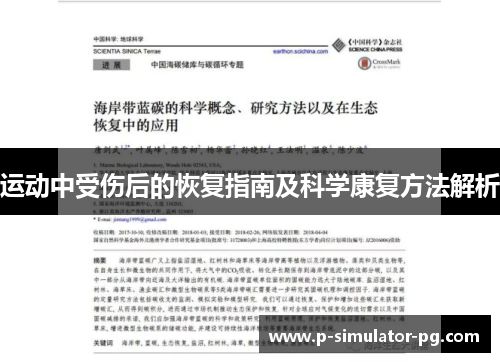 运动中受伤后的恢复指南及科学康复方法解析