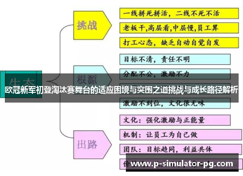 欧冠新军初登淘汰赛舞台的适应困境与突围之道挑战与成长路径解析